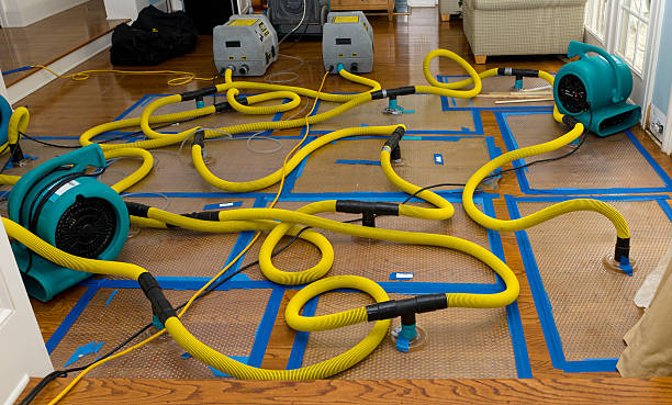 Professional Water Damage Repair technician working in Carolina, RI
